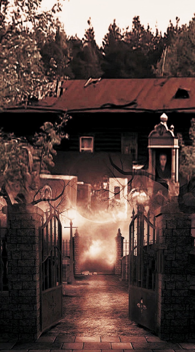 Фотоколлаж автора статьи