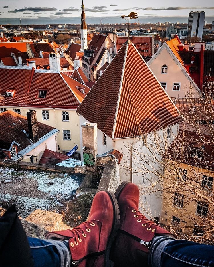 Крыши Таллина