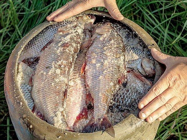 Источник: интернет