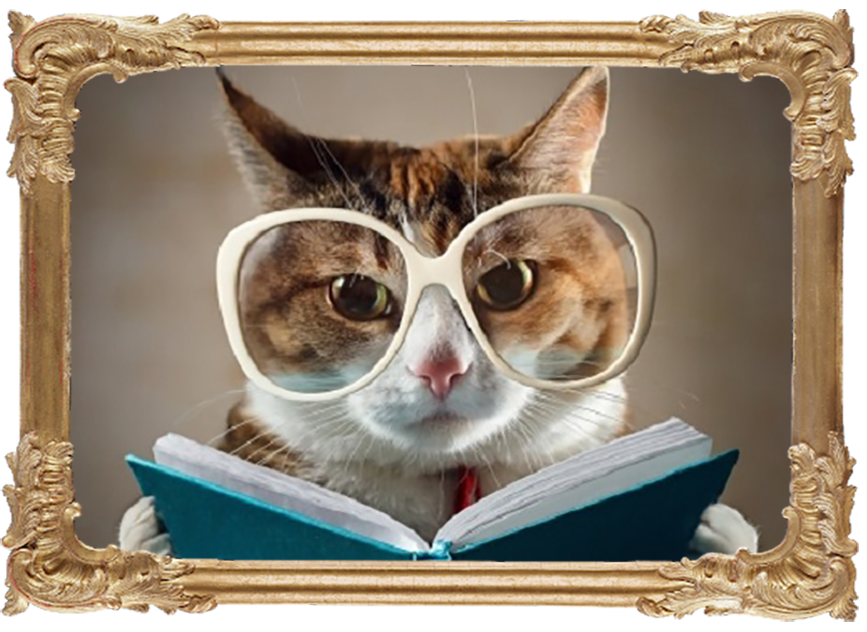 Фото zsv3207/iStock