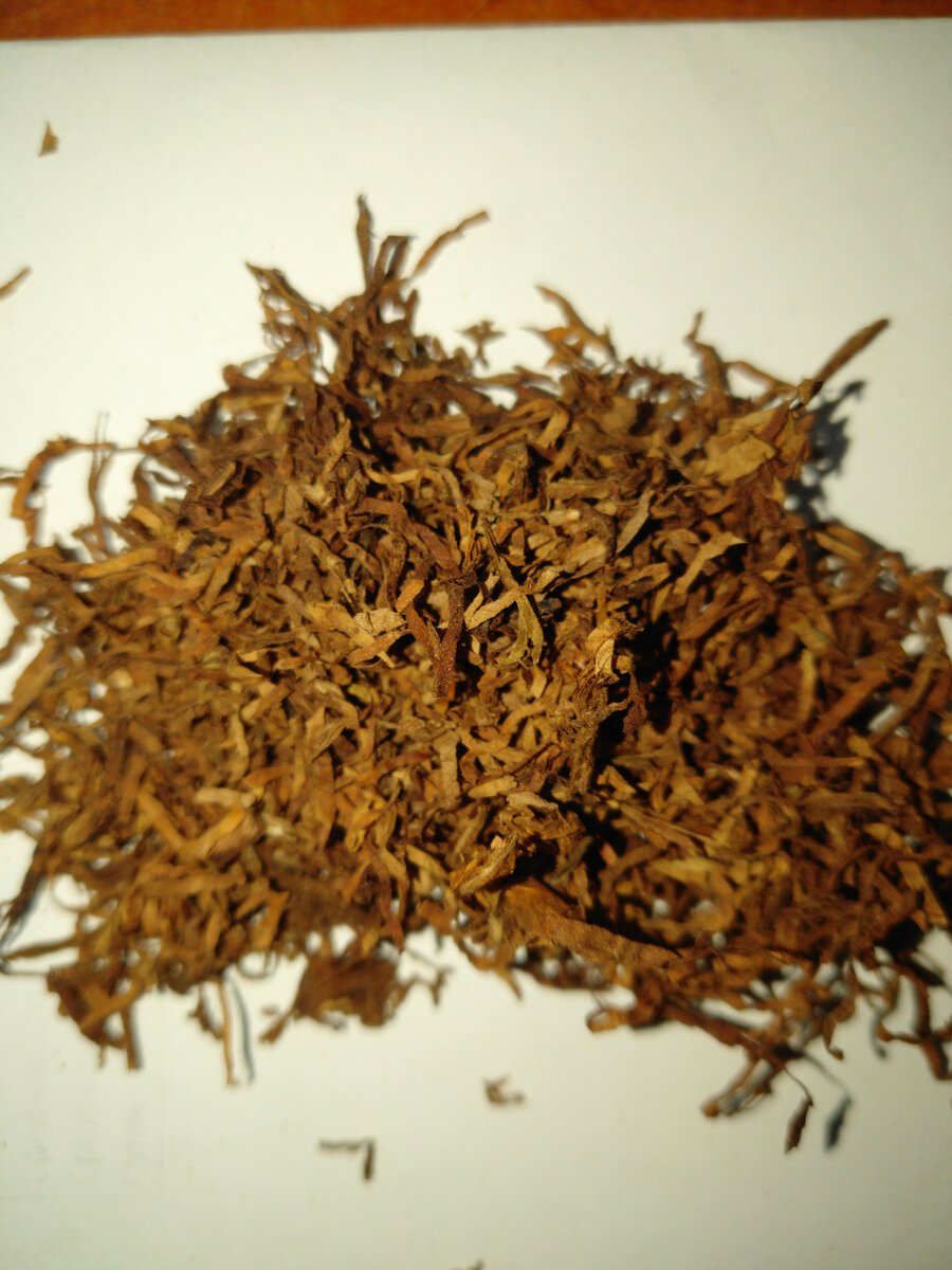 Авторское фото.