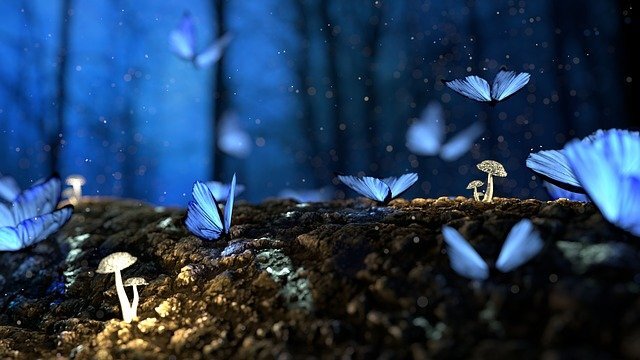 Источник изображения: www.pixabay.com
