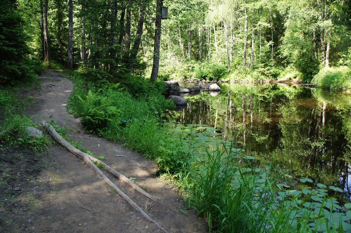 Линдуловская Роща 