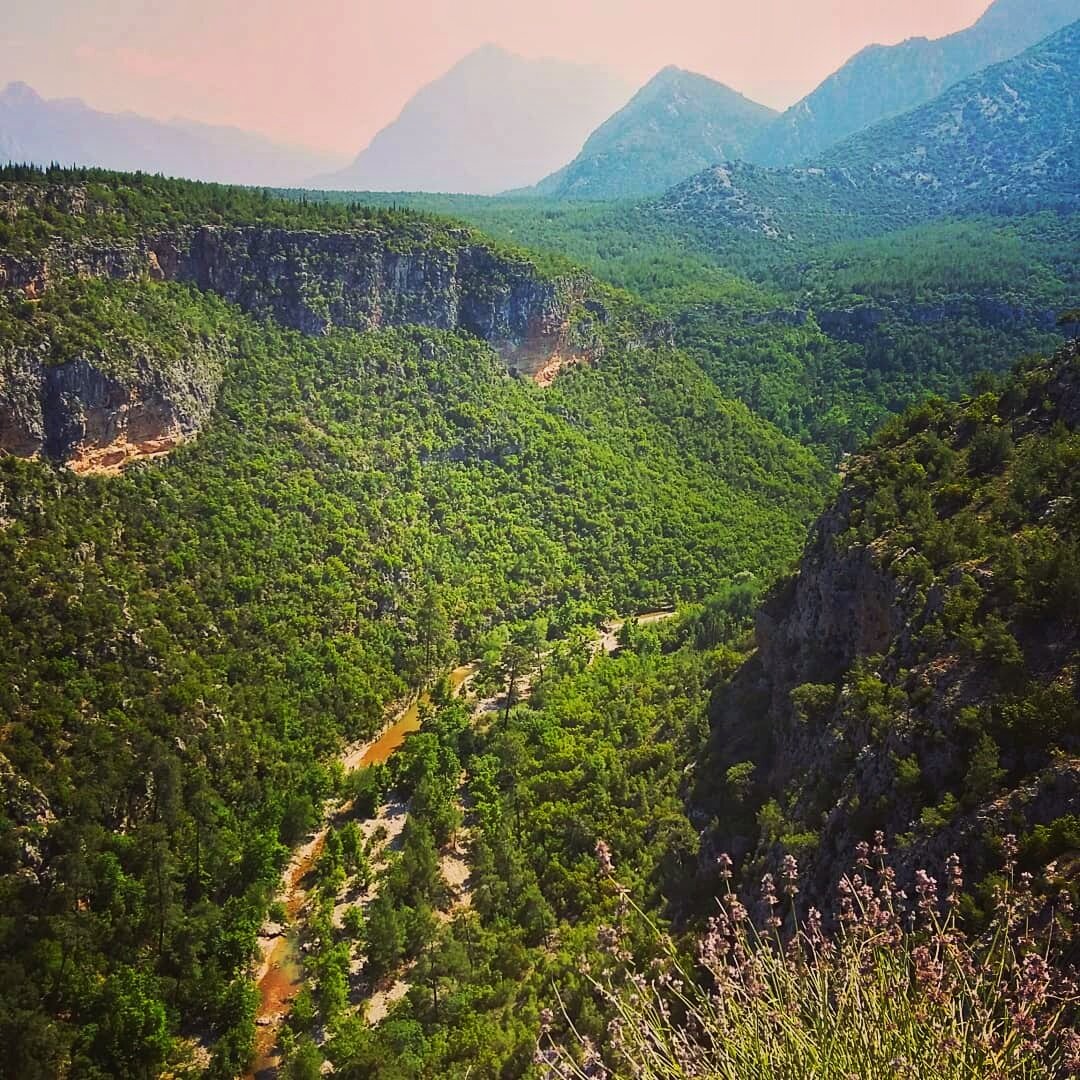 Природа Турции. Фото автора 