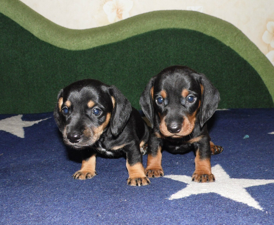 Фото сделано лет 8 назад. С "мыльницы"