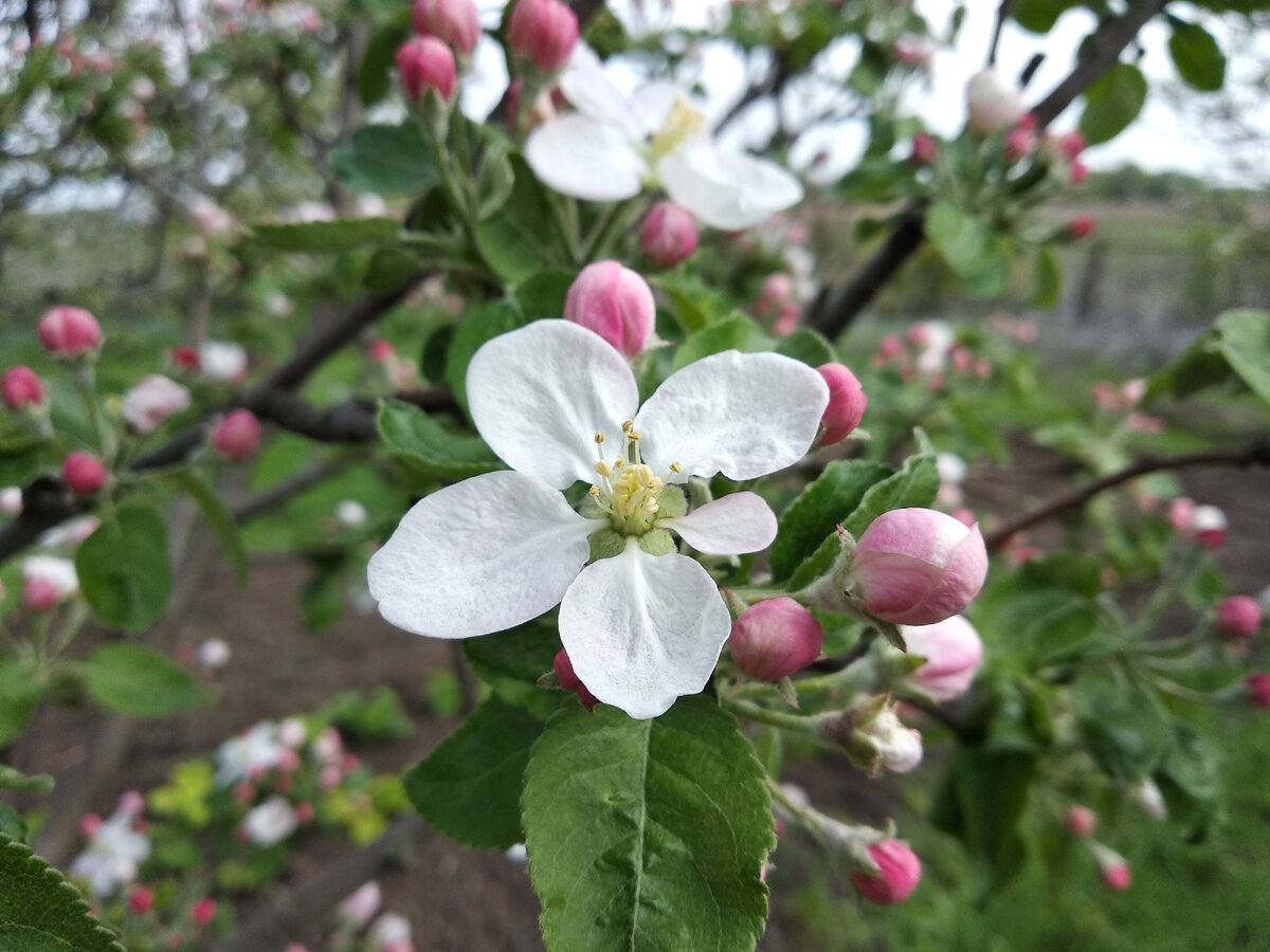 Фото автора канала