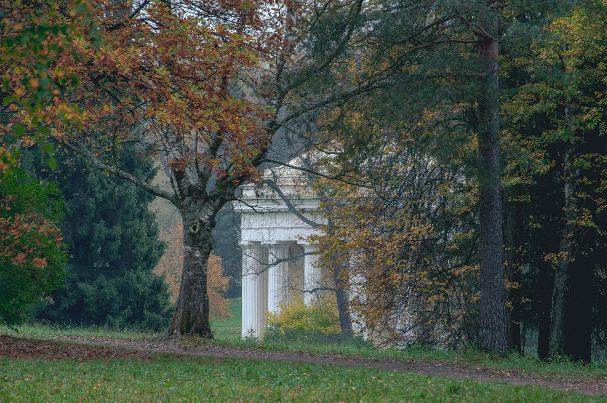 этот парк осенью