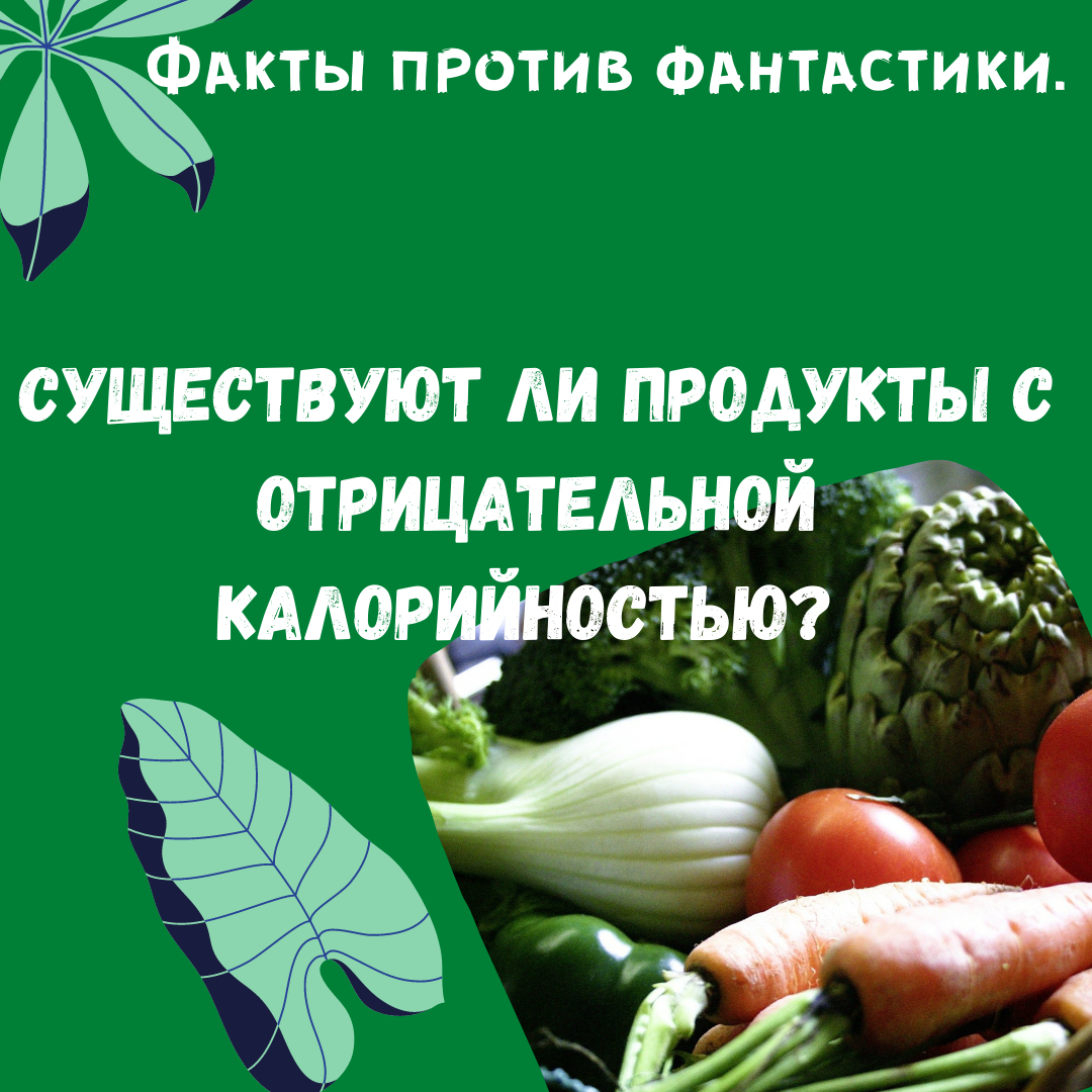 Продукты с отрицательной калорийностью – миф или реальность