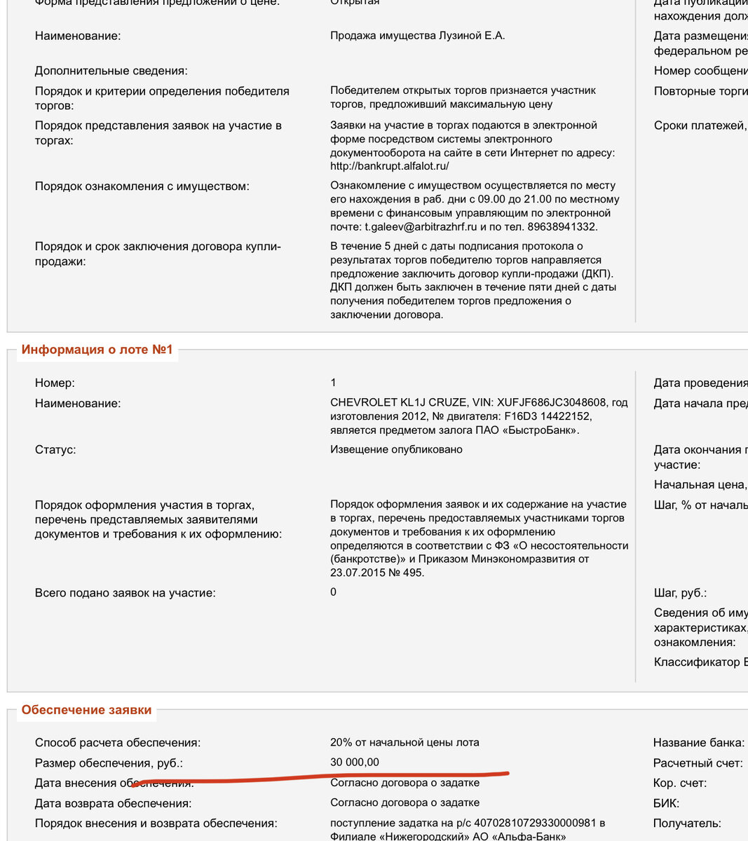 Пример актуального лота, с низу подчёркнут % и сумма 