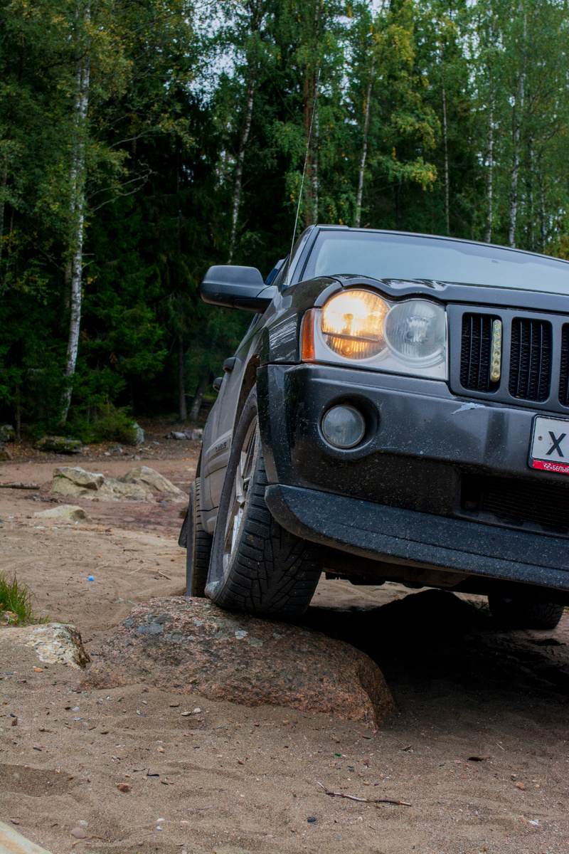 Верный друг Евгения - Чероки