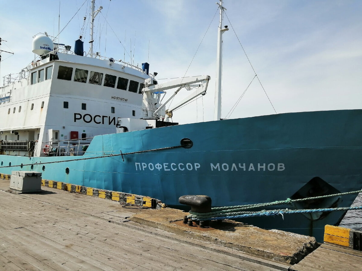 Фото: Елена Иляхунова