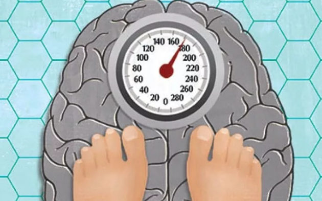 Скриншот автора. Фото из открытых источников.