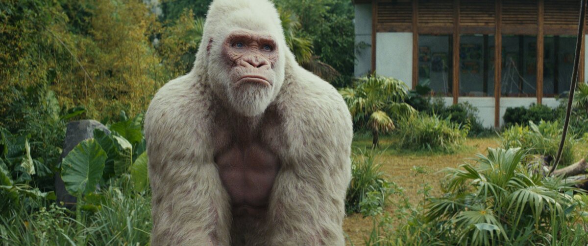 Отрывок из фильма