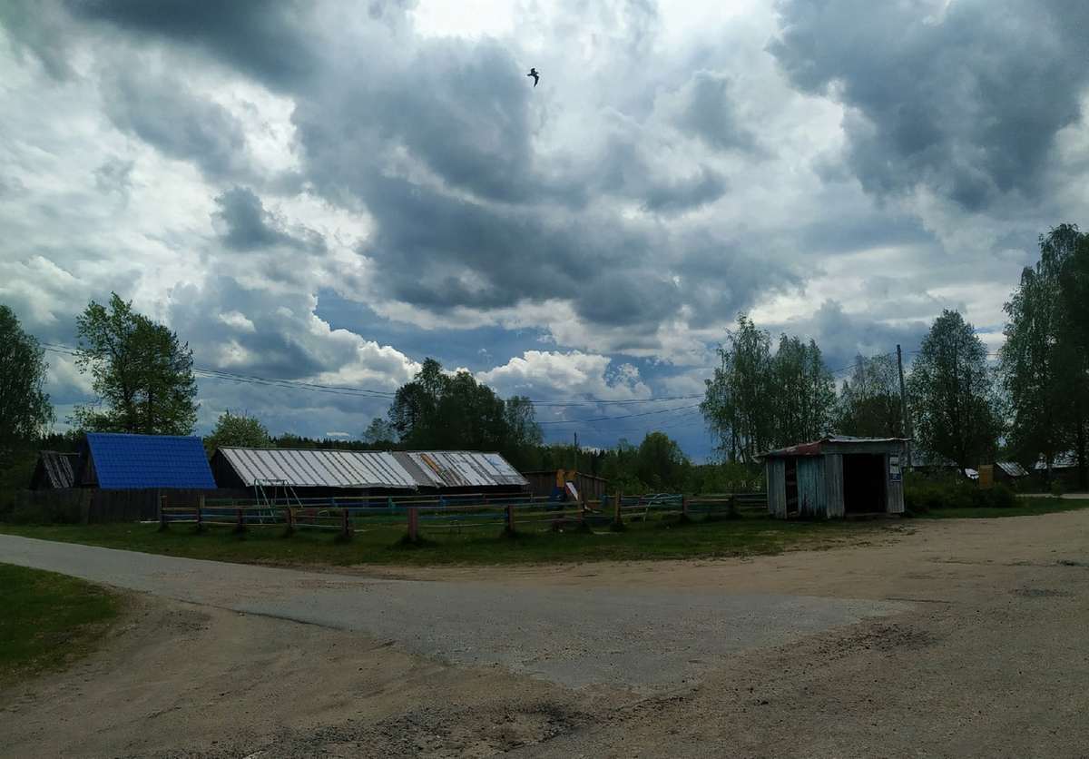 Кривцы карелия пудожский. Деревня Водла. Карельского поселка Кривцы. Кривцы Карелия ул Титова. Кривцы Кама