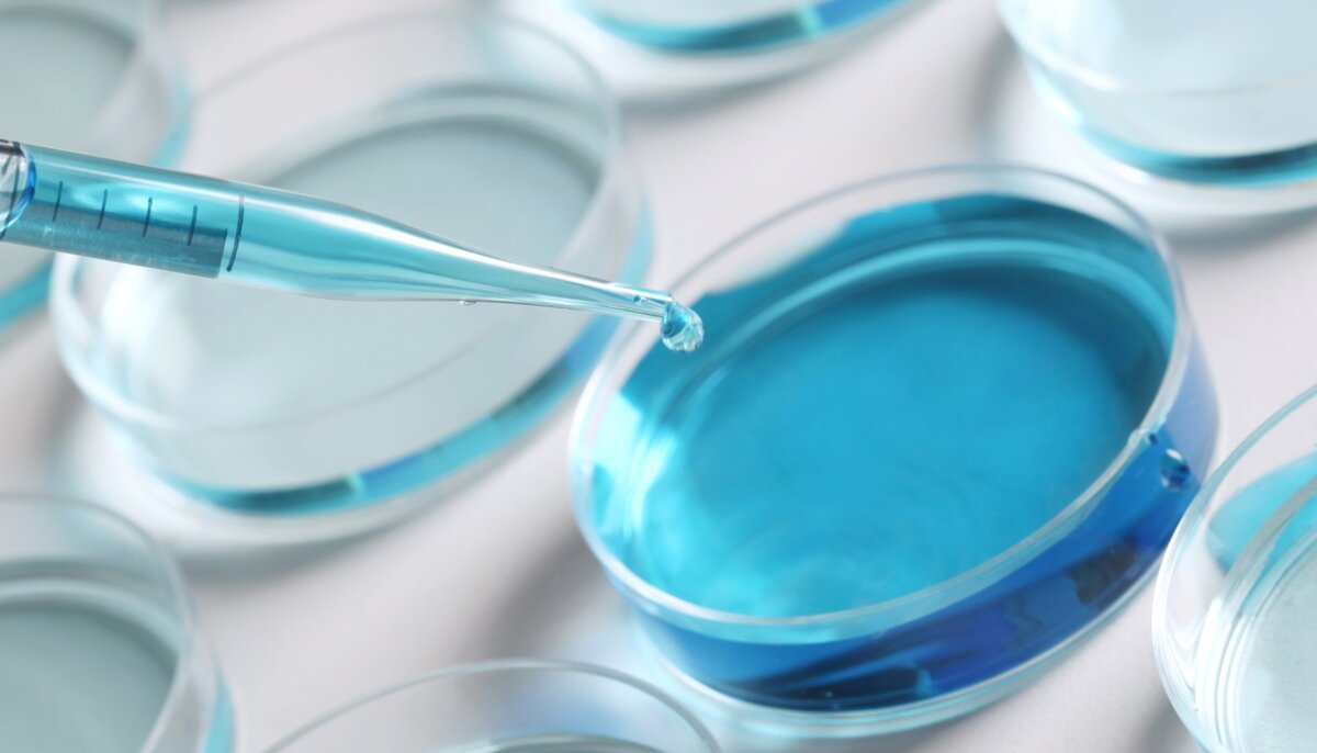 картинка из открытого доступа