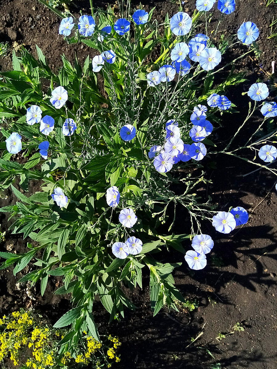 Добавьте описагалер