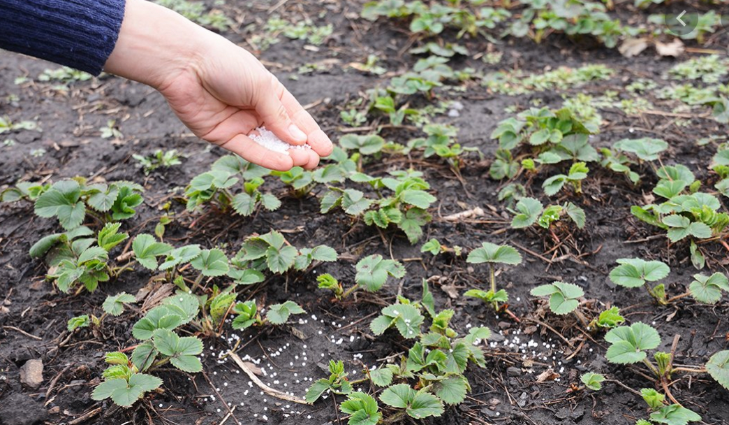 Добавьте описание