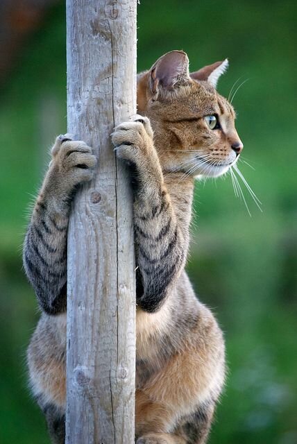 фото использовано в качестве иллюстрации. Источник "Яндекс.Картинки"