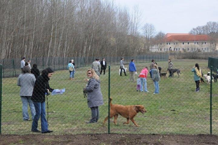 Площадка для выгула собак, ЕС. Фото с сайта bringfido.com