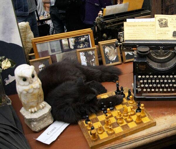 "Нехорошая квартира" - музей М.А.Булгакова