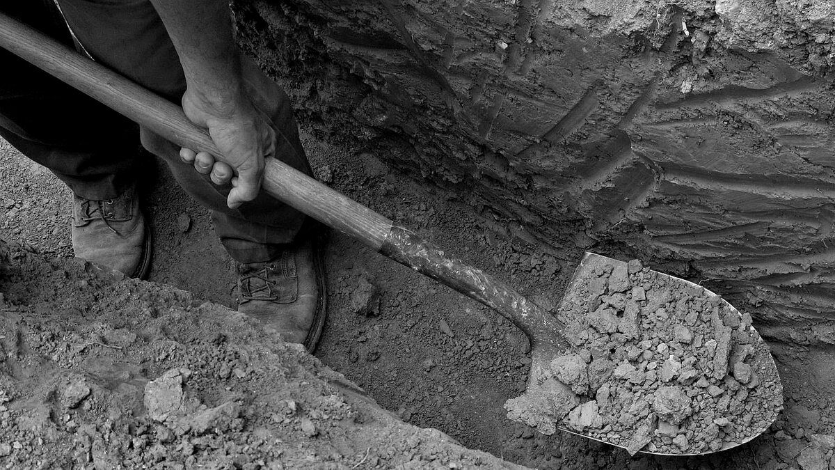 Источник фото: https://clck.ru/VDqxK