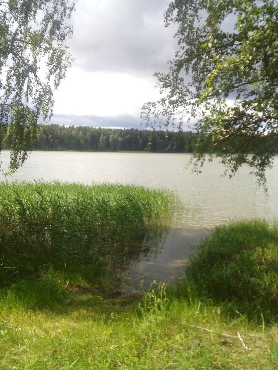 Любимое место отдыха.