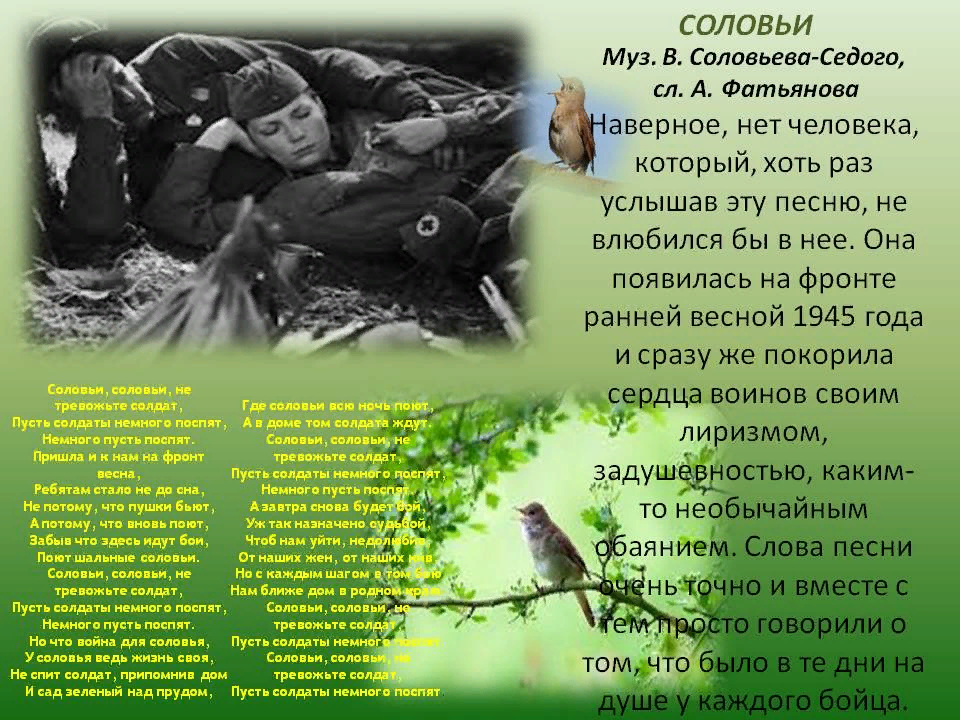 Картинки к стихотворению это было в мае на рассвете