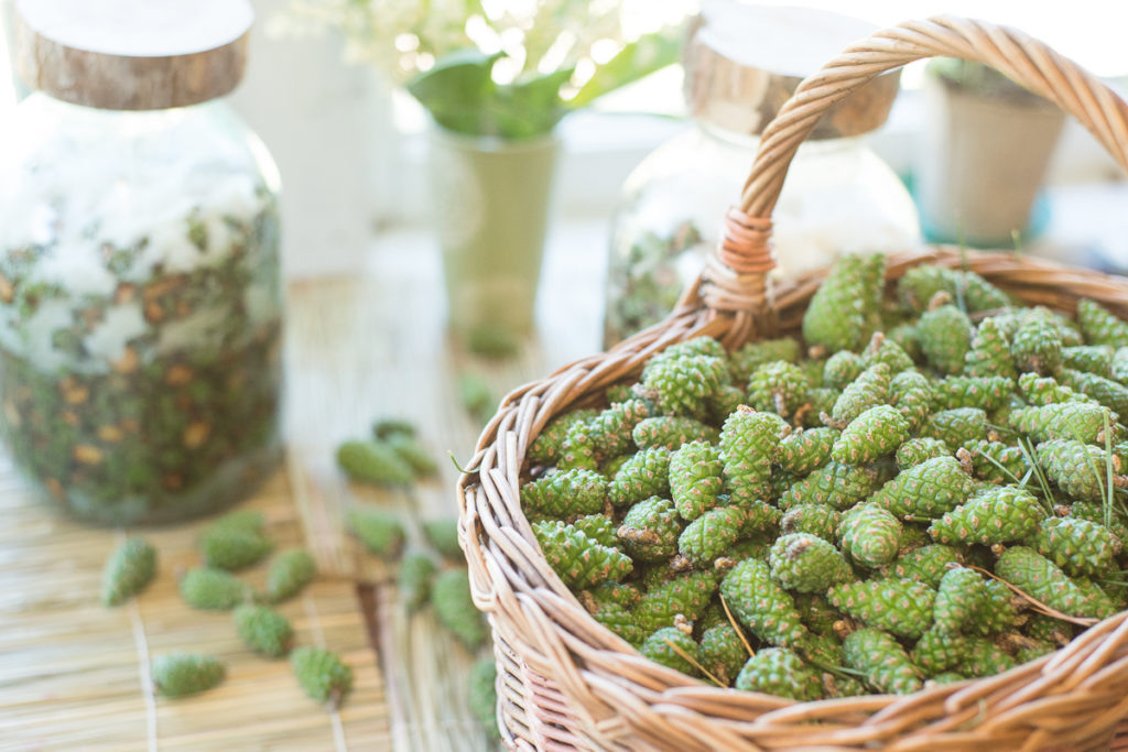 фото: https://yandex.ru/images/search?from=tabbar&text=%D0%92%D0%90%D0%A0%D0%95%D0%9D%D0%AC%D0%95%20%D0%98%D0%97%20%D0%A1%D0%9E%D0%A1%D0%9D%D0%9E%D0%92%D0%AB%D0%A5%20%D0%A8%D0%98%D0%A8%D0%95%D0%9A%20%D0%A4%D0%9E%D0%A2%D0%9E