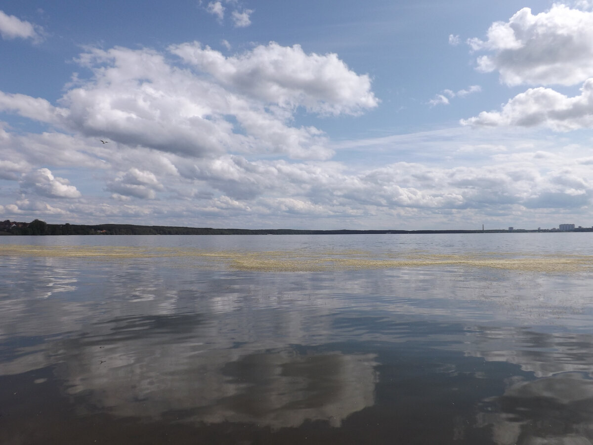 Шарташ заболачивается