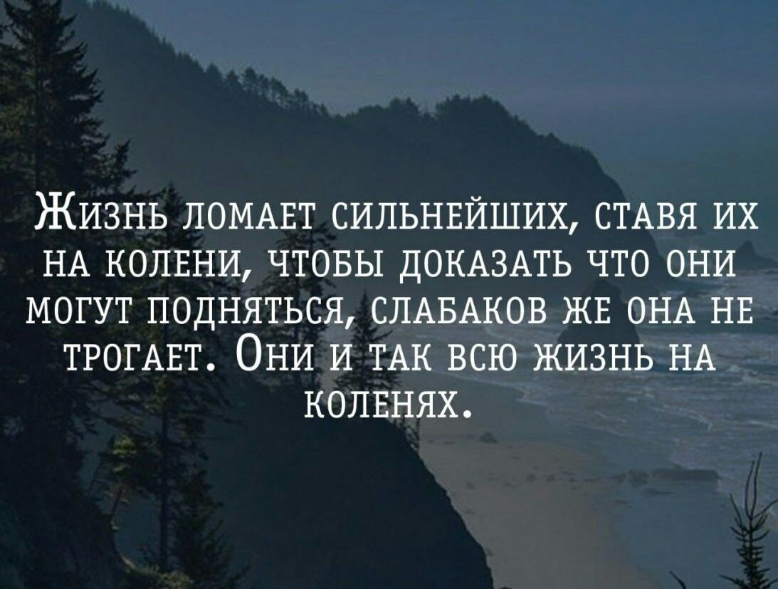 фото взято с яндекс.картинки  