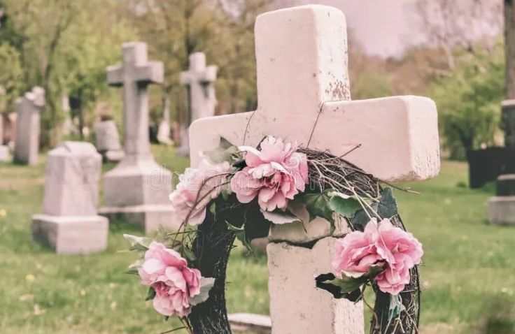 Добавьте описание