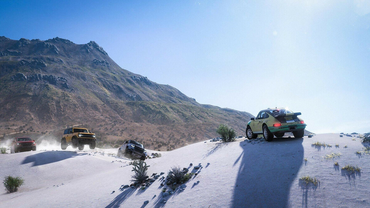 Фото Галерея Steam «Forza Horizon 5»