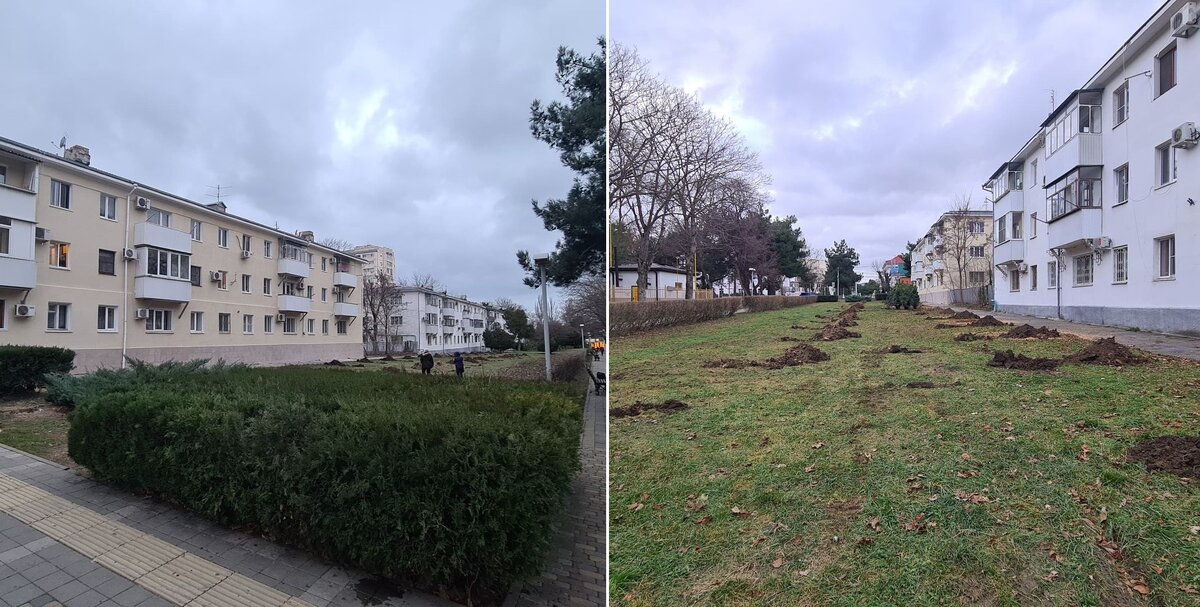 Три дня назад на этом месте росли деревья (фото @anapa_ayennaja)