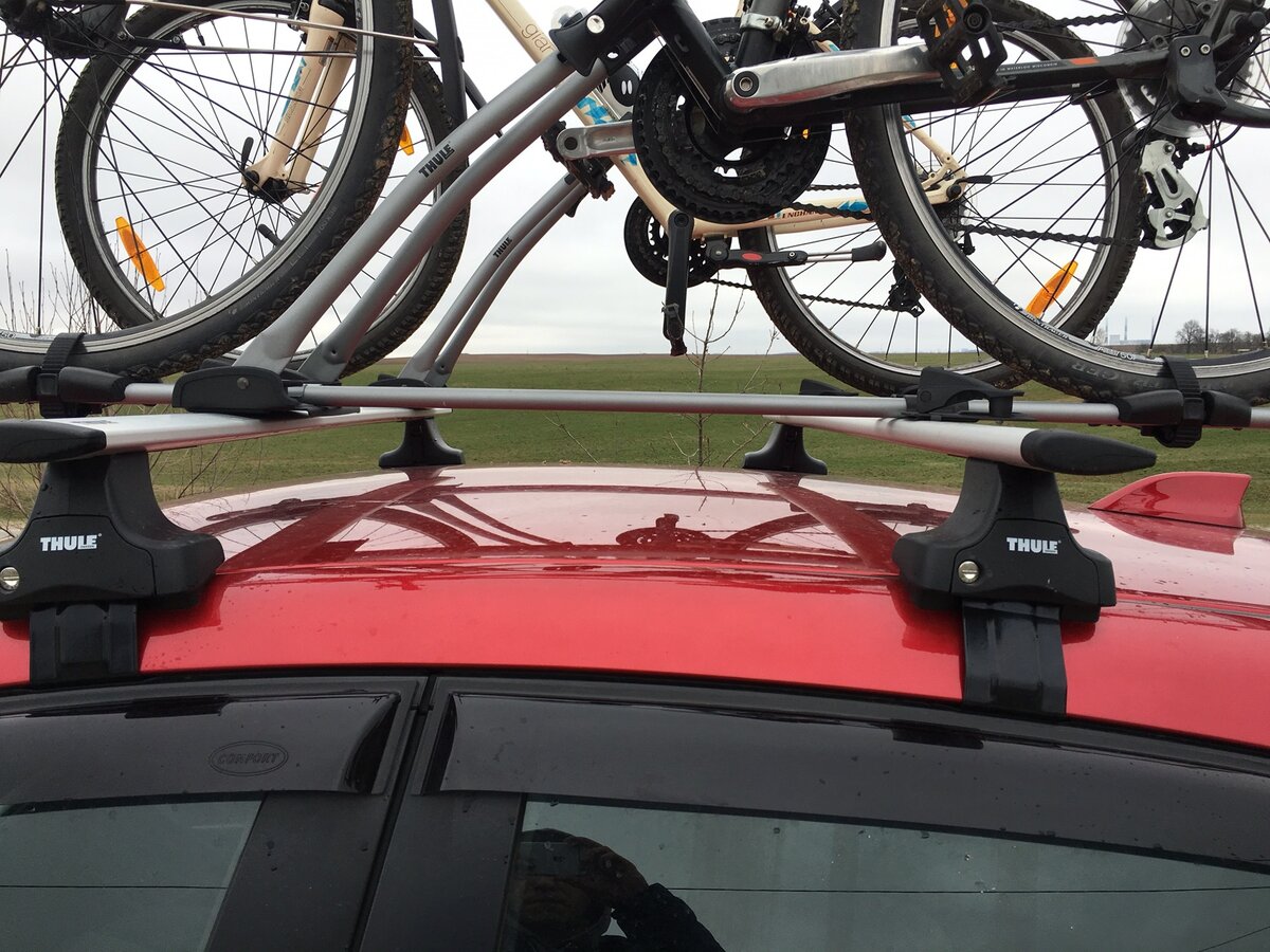 Фото взято с Яндекс картинки.