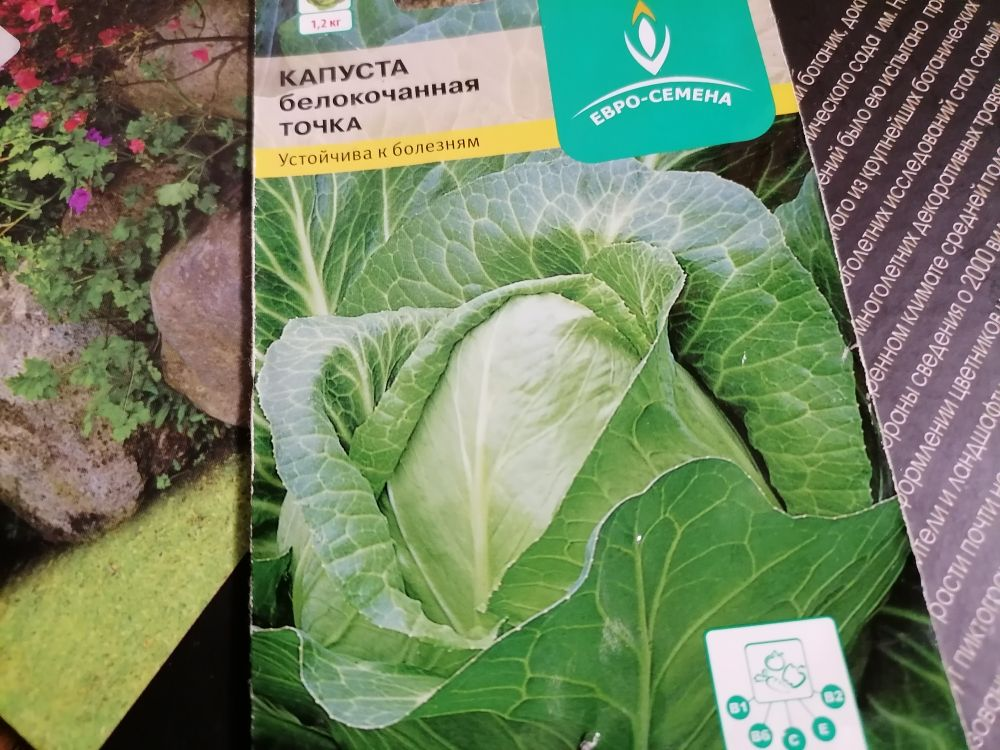 Купить капуста точка