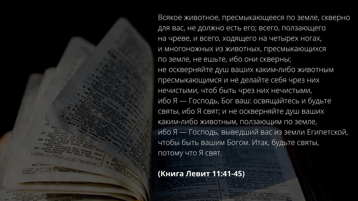 Загадка про Библию. Где в Библии запрещается есть свинину. Почему в Библии говорится что нельзя есть свинину. Библия про свинину где написано.