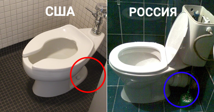 Блогер облизал унитаз общественного туалета и заразился коронавирусом | lavandasport.ru