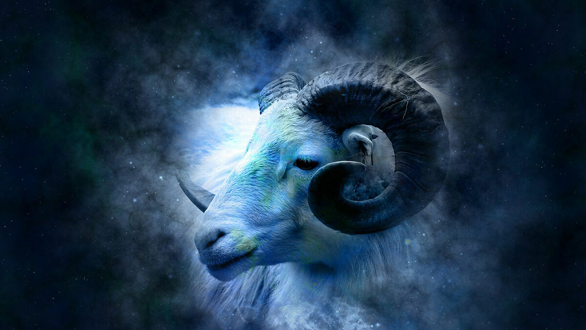 Взято из открытых источников