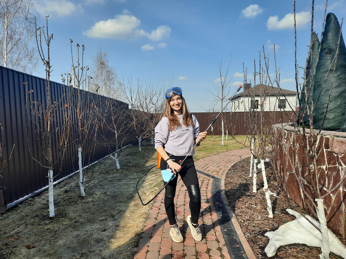 Обработка сада от болезней п Новинки Нижегородская область. Источник: Личная галерея
