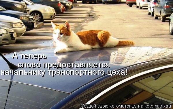 Изображение взято из открытых источников Яндекс Картинки
