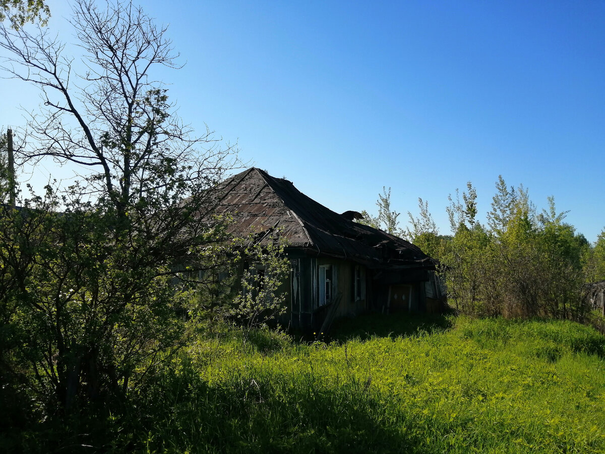 Станция с забавным названием. | 