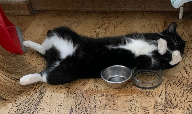 Разумеется, если получится