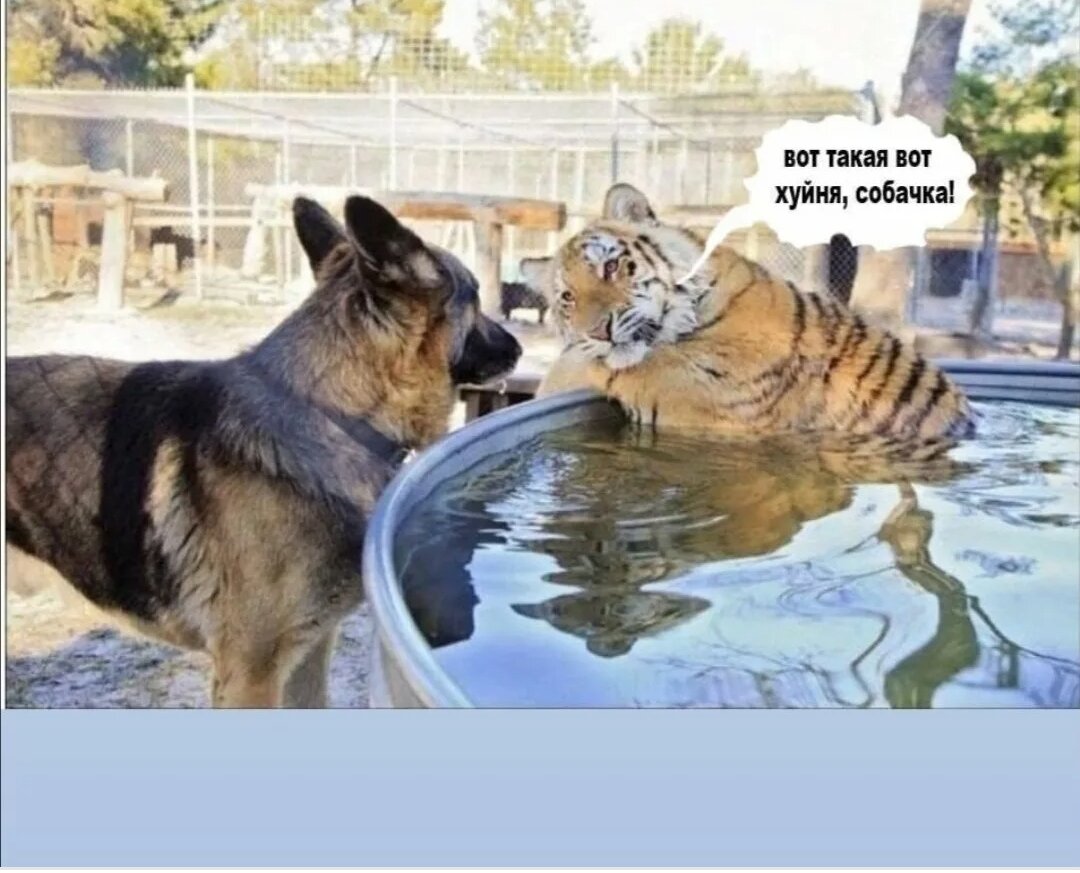 #бережноксебе 