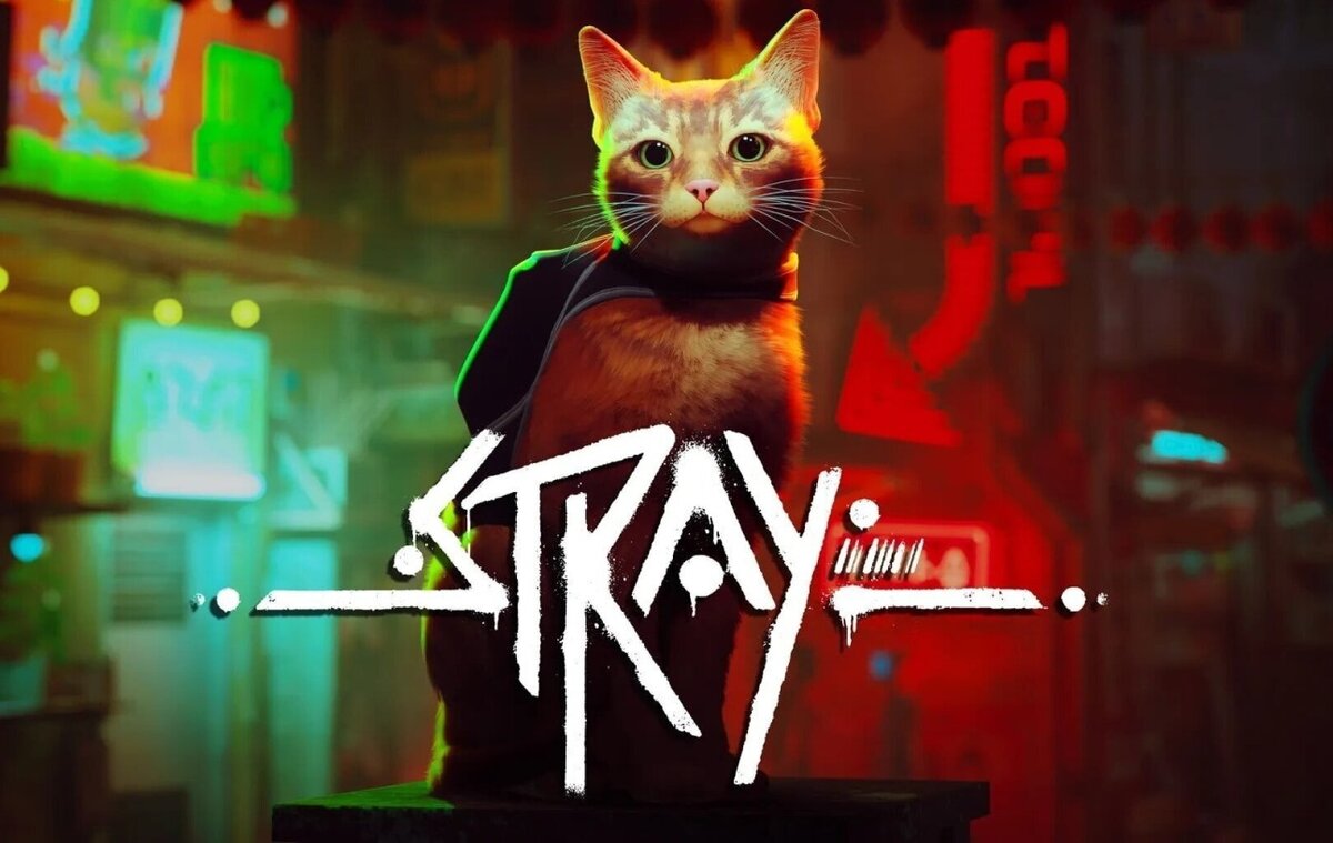 Stray»: котик, который хотел вернуться домой | Там, где растёт вереск.  Личный блог. | Дзен