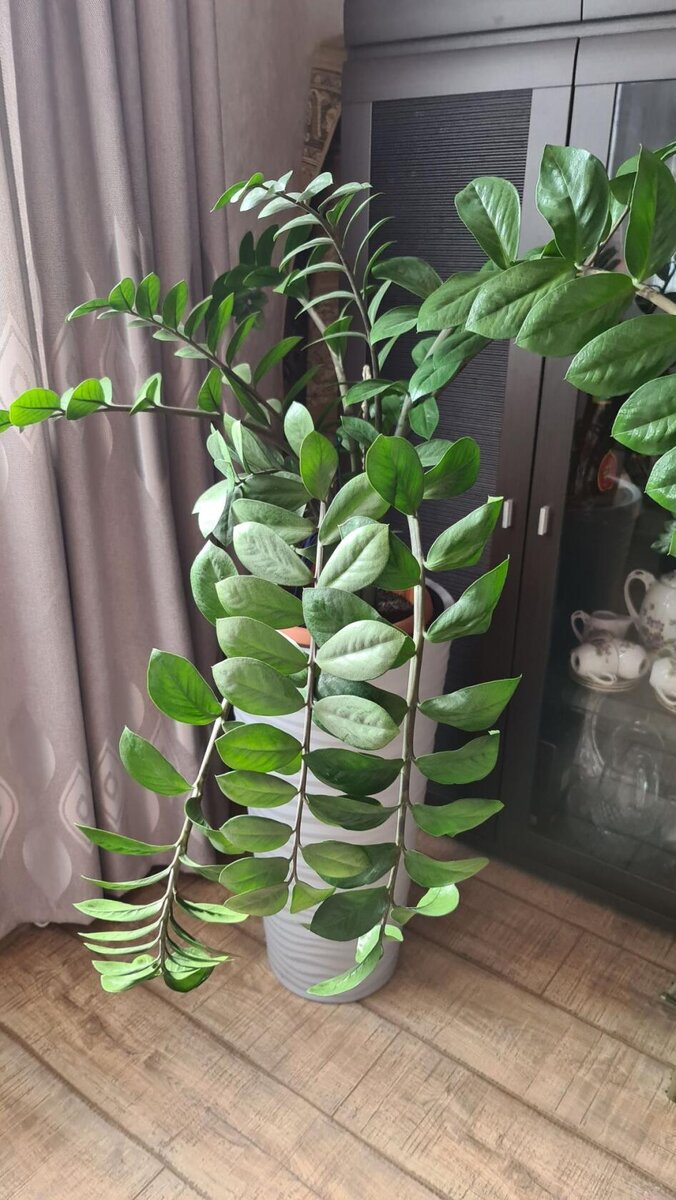 фото из личного архива