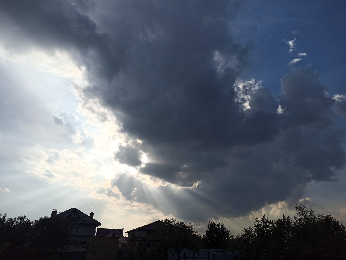  Фото из личного архива #психология 