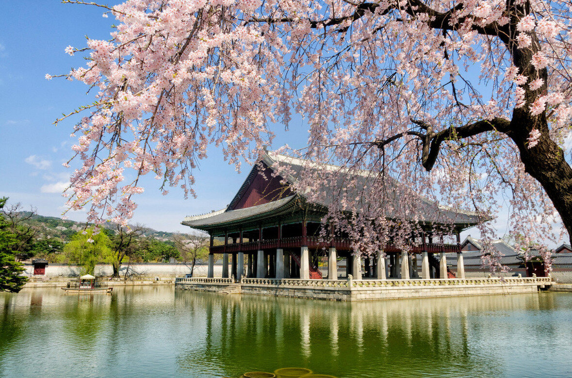 Южная Корея: 5 удивительных особенностей восточной страны в отличие от ...