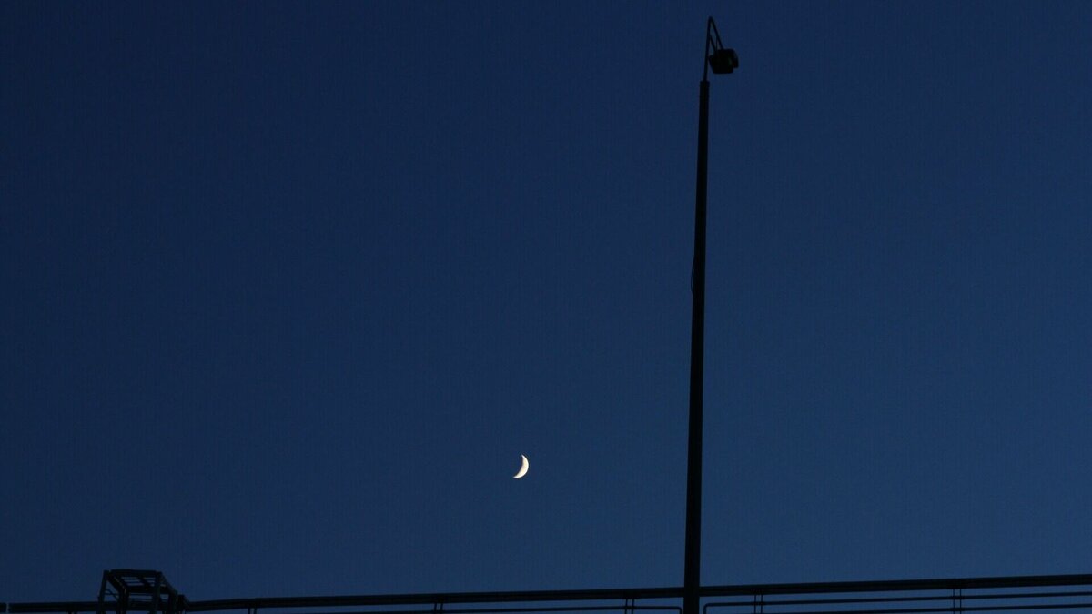     Жители Ростова-на-Дону пожаловались на отсутствие освещения возле школы № 97, сообщается на сайте «Благоустройство города».