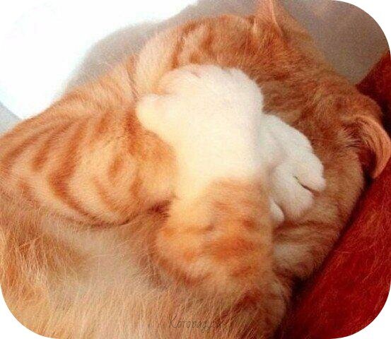 Источник: pinterest.com