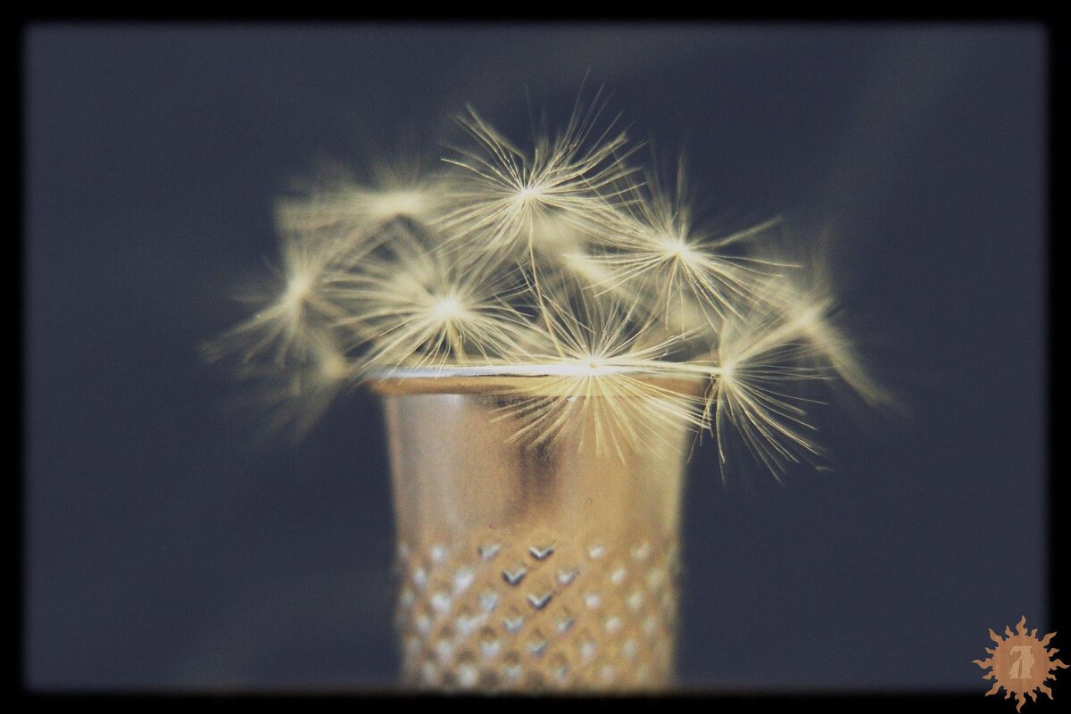 Фото с сайта pixabay.com 